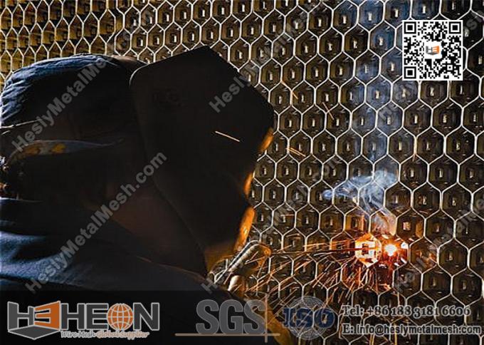 China Hex mesh factory exporter