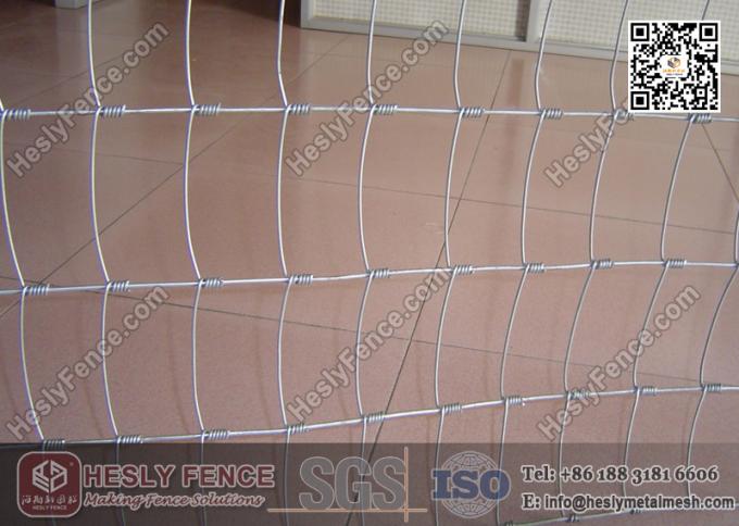 Cattle Fence