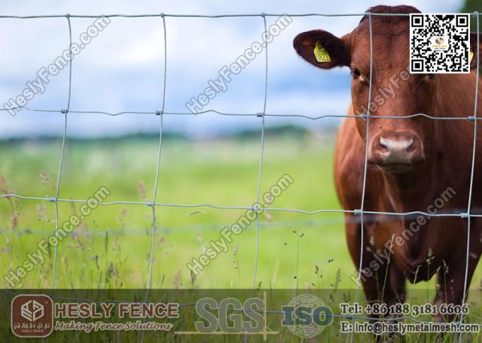 Cattle Fence Supplier China