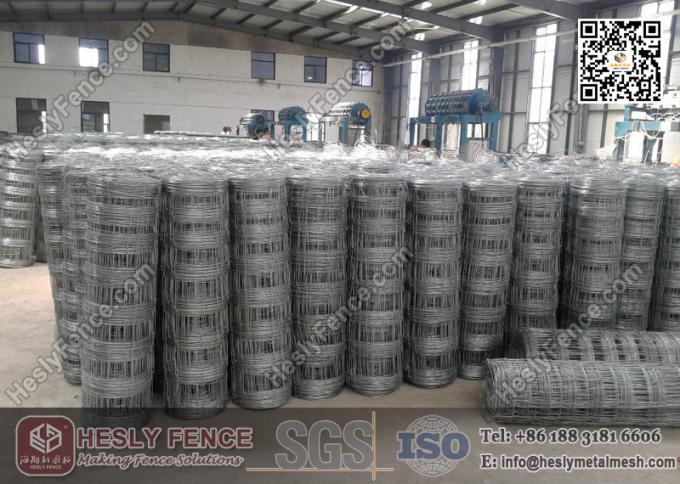 Filed Fencing