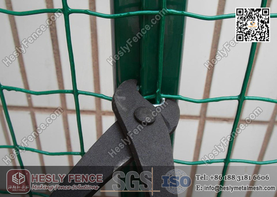 China Welded Mesh Fence Roll | 50X50mm Holland Mesh Fencing | Green Color Euro Mesh Fence supplier