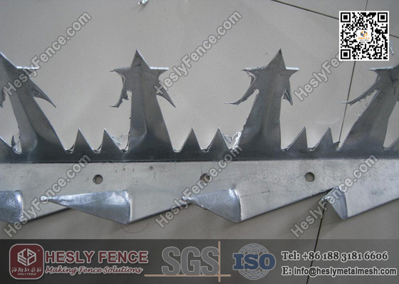 China Galvanised Metal Wall Spike | China Wall Spike Supplier supplier