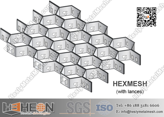 China Stainless Steel Hexmetal Grate | 2.0X20X50mm | China Hexmetal Manufacturer supplier
