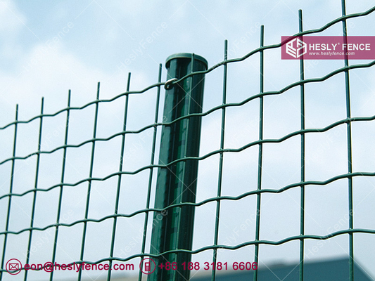 China Roll Mesh Fence | Holland Mesh Fencing | Welded Mesh Roll Fence | Euro Mesh Fence supplier