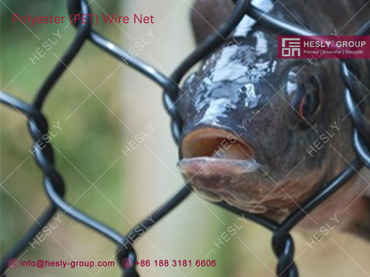 China Polyester Fish Farm Woven Net | HESLY Aquaculture cage system | 2.5mmX45x50mm supplier