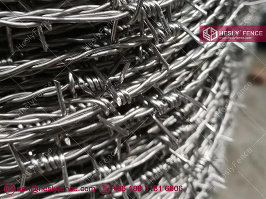 China Double Twist Barbed Wire | 12X14# Galvanised Barbed Wire supplier