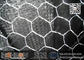 Hot Dipped Galvanised Hexagonal Wire Mesh supplier
