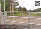 China 1.6m high Corral Panels (Supplier) | oval pipe Horse Fence Panel supplier