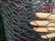 Polyester Fish Farm Woven Net | HESLY Aquaculture cage system | 2.5mmX45x50mm supplier