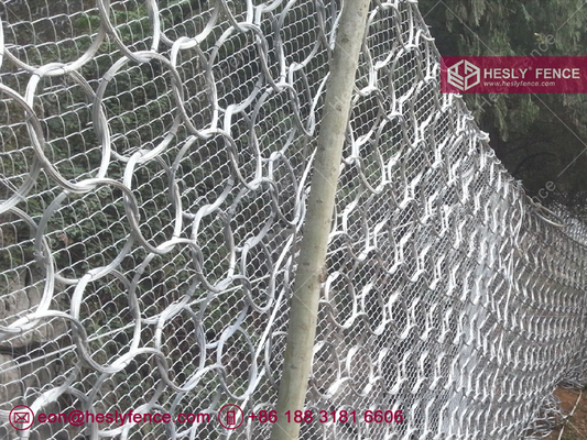 China HESLY Passive Rockfall Barrier System | High 3.0m | Width 10m | Steel Ring Net &amp; Rope Mesh | HesyFence-China supplier