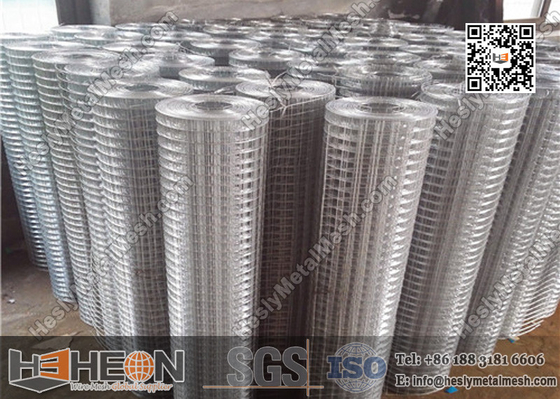 China 1&quot; hole Hot Dipped Galvanised Welded Wire Mesh Roll supplier