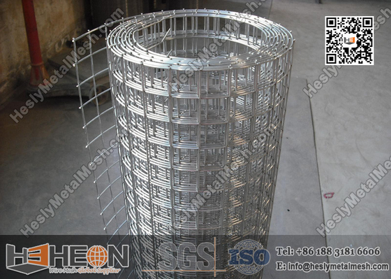 China 1/2&quot;  aperture Hot Dipped Galvanised Welded Wire Mesh Roll | China Supplier supplier