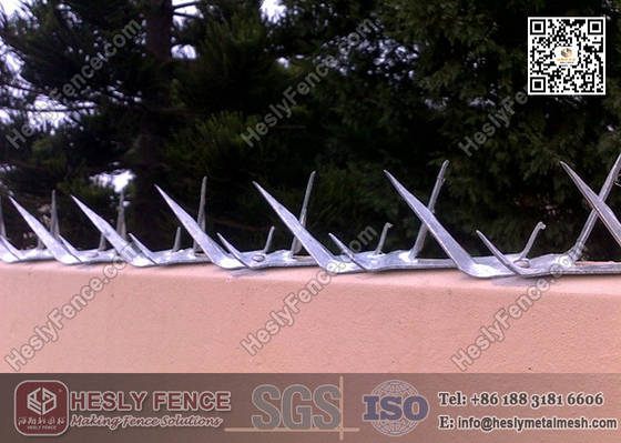 China Anti Climb Security  Wall Spike | China Wall Spike Supplier supplier