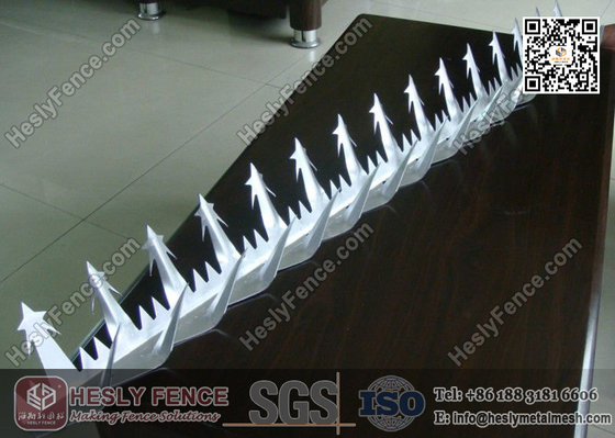 China Anti Climb Security  Wall Spike | China Wall Spike Factory supplier