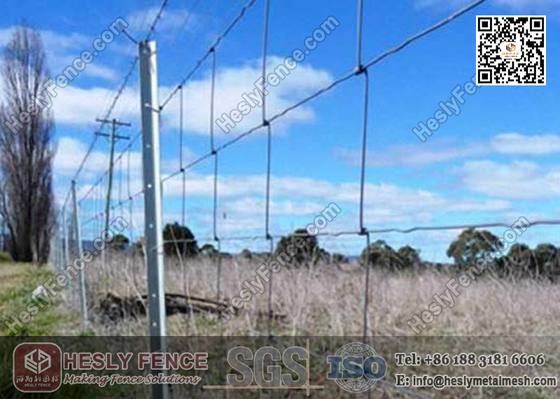 China 1.5m height 2.0mm wire | Woven Filed Fence | Cattle Fencing | Grassland Fence | China Factory supplier