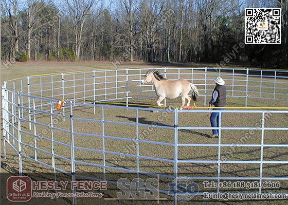 China China Corral Panels (Supplier) | Livestock Fence | Horse Corral Panels supplier