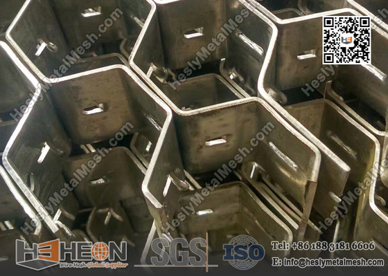 China 310SS Stainless Steel 2X25X50mm hexagonal Mesh China Factory / Supplier supplier