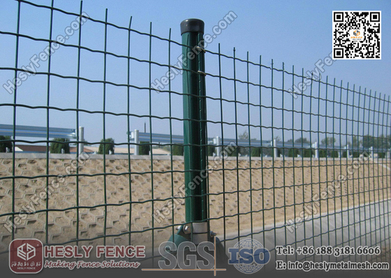 China Welded Roll Mesh Fencing | 50X50mm square hole | RAL6005 Green PVC coated supplier