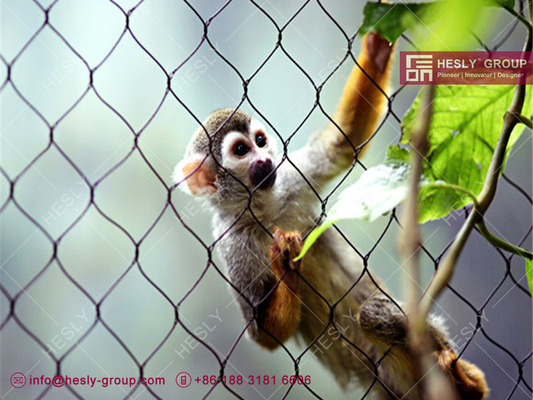 China 316L Stainless Steel Wire Cable Animal Cage for Zoo Enclosure | China Zoo Mesh Factory supplier