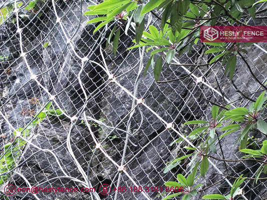 China Active Rockfall Protection Net system | galvanised steel rope mesh | high tensible steel grid | 8.0mm rope | HESLY supplier