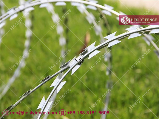 China BTO-22 Concertina Razor Barbed Wire Coil | HGI | 500mm diameter | HeslyFence-China supplier