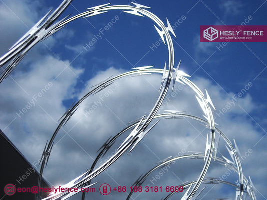 China CBT-65 Hot Dipped Galvanised Concertina Razor Edge Wire O.D. 500mm supplier