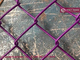 HESLY Chain Link Mesh Fence | 60X60mm diamond hole | PVC coated chain wire | Hesly China Fence Factory sales supplier