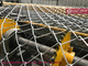 China Chain Link Fencing | 55X55mm mesh aperture | 4.0mm Steel Wire - Hesly Fence, China supplier