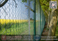 358 Anti-Climb High Security Mesh  Fening | RAL6005 Green Color | China Exporter supplier
