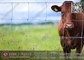 Cattle Fence | Field Fencing | Grassland Fence | China Supplier supplier