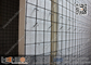 Construction EPS 3D Mesh Panel | 50mm &amp; 100mm Thickness supplier