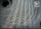 Knitted Wire Mesh 30-100, 40-100, China Knitted Mesh Factory supplier