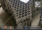 310S 2.0X20X50mm  Hex mesh for Refractory Lining | China Hexagonal Grid Factory supplier