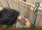 Recoverable Defensive Barriers supplier