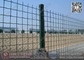 Welded Roll Mesh Fencing | 50X50mm square hole | RAL6005 Green PVC coated supplier