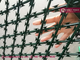 High 2.4m, 75X150mm Rhombus Razor Mesh Sheet Fence | China Welded Razor Mesh Supplier supplier