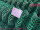 Green PVC coated Chainwire Mesh Fence | 50X50mm mesh aperture | 4.0mm Wire - Hesly Fence, China supplier