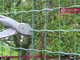 Roll Mesh Fence | Holland Mesh Fencing | Welded Mesh Roll Fence | Euro Mesh Fence supplier