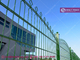 868 Decorative Double Wire Mesh Fencing, 1.8m high, 65X200mm aperture, Ball Top Post supplier
