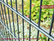 656 Double Wire Mesh Fencing | 6.0mm×2 horizontal wire | 5.0mm vertical steel wire | 50X200mm hole | high 1.5m Hesly supplier