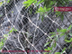 Active Rockfall Protection Net system | galvanised steel rope mesh | high tensible steel grid | 8.0mm rope | HESLY supplier