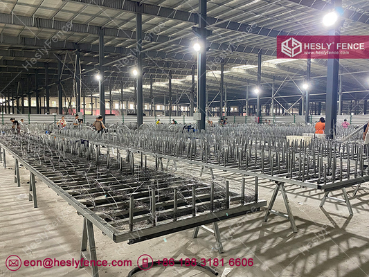 10X10m MZP Putanka Wire, 0.5/0.5/0.8/0.8mm wire diameter, HeslyFence China Tangle Wire factory sales supplier