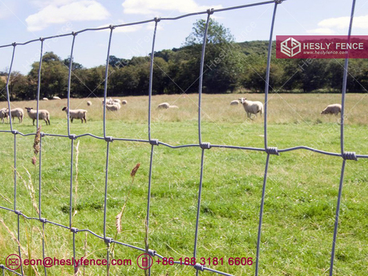 1.2m high 2.5mm wire | Woven Cattle Fence | Field Fencing | Grassland Fence | China Supplier supplier