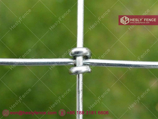 S Knot Wire Mesh Fence, Horse Mesh Fence, galvanized, 2X50m, HeslyFence Chinese Field Mesh Fence Supplier supplier