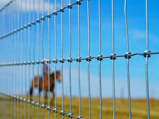 S Knot Wire Mesh Fence, Horse Mesh Fence, galvanized, 2X50m, HeslyFence Chinese Field Mesh Fence Supplier supplier