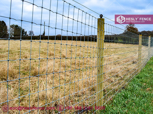 S Knot Wire Mesh Fence, Horse Mesh Fence, galvanized, 2X50m, HeslyFence Chinese Field Mesh Fence Supplier supplier