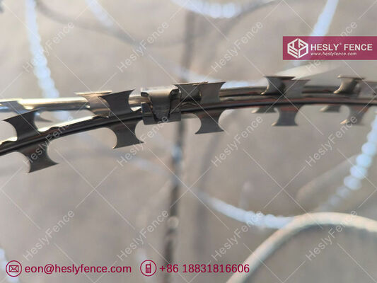 BTO-10 Concertina Razor Wire Coil, 600mm Diameter Coil, Hot Dipped Galvanized Steel Wire, HESLY Brand, China exporter supplier