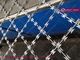 Welded Ripper Razor Mesh Fencing | H2.5mX6.0m | 75X150mm diamond hole | CBT-65 | CBT-60 - HeslyFence_CHINA supplier