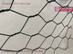 Deep-sea Aquaculture Net system | PET Hexagonal Woven Net | 3.0mmX73X80mm | HESLY Brand - China Factory supplier
