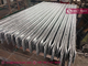 2.4m high &quot;D&quot; section profile Steel Palisade Fencing 2.75m width | HESLY China Palisade Fencing Factory supplier